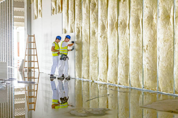 Best Insulation Installation Services in Oak Grove, KY